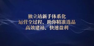 独立站新手体系化 运营全过程,助你精准选品、高效建站、快速盈利-湘创网