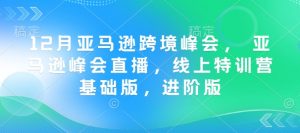 12月亚马逊跨境峰会, 亚马逊峰会直播,线上特训营基础版,进阶版-湘创网