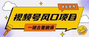 视频号风口蓝海项目,中老年人的流量密码,简单无脑,一键去重,轻松月入过W-湘创网