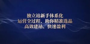 (13914期)独立站新手体系化 运营全过程,助你精准选品、高效建站、快速盈利-湘创网