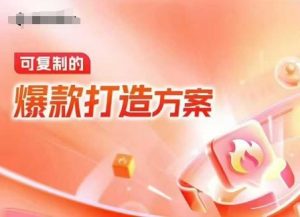 天猫电商爆款运营,可复制的爆款打造方案(线下内训课录音+字幕)-湘创网