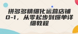 拼多多精细化运营店铺0-1,从零起步到爆单详细教程-湘创网