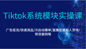 Tiktok系统模块实操课:广告投流/快速测品/冷启动爆单/直播配置和人货场/带货案例等-湘创网
