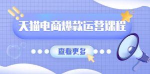 天猫电商爆款运营课程,爆款卖点提炼与流量实操,多套模型全面学习-湘创网