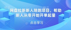 网盘拉新新人陪跑项目,帮助新人从零开始开单起量-湘创网