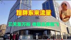 蹭胖东来流量,三天涨万粉,收益直接起飞-湘创网