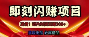 速看!零门槛即刻闪赚副业项目,轻松用碎片时间日入3张-湘创网