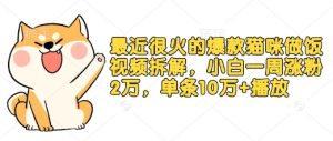 最近很火的爆款猫咪做饭视频拆解,小白一周涨粉2万,单条10万+播放(附保姆级教程)-湘创网