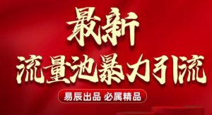 最新“流量池”无门槛暴力引流(全网首发)日引500+-湘创网