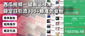 (13961期)西瓜视频一键搬运技术,稳定日引流300+精准创业粉,简单可复制给团队,...-湘创网