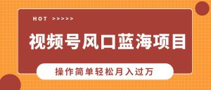 视频号风口蓝海项目,中老年人的流量密码,操作简单轻松月入过W-湘创网