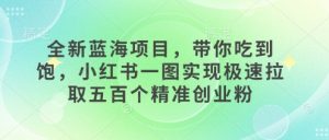 全新蓝海项目,带你吃到饱,小红书一图实现极速拉取五百个精准创业粉-湘创网