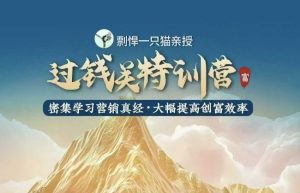 剽悍一只猫-过钱关特训营,学习营销真经 大幅度提高创富效率-湘创网