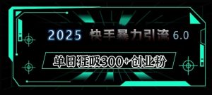 2025年快手6.0保姆级教程震撼来袭,单日狂吸300+精准创业粉-湘创网