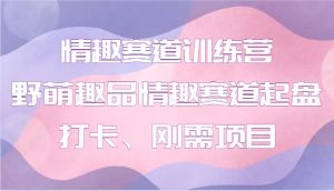 情趣赛道训练营 野萌趣品情趣赛道起盘打卡、刚需项目-湘创网