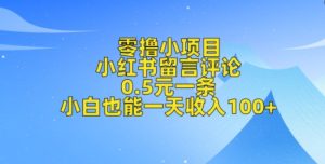 零撸小项目,小红书留言评论,0.5元一条,小白也能一天收入100+-湘创网