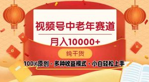 (13905期)视频号中老年赛道 100%原创 手把手教学 新号3天收益破百 小白必备-湘创网