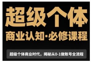 超级个体商业认知觉醒视频课,商业认知·必修课程揭秘从0-1账号全流程-湘创网
