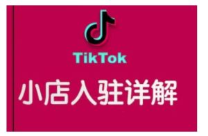 TikTok跨境小店运营全攻略,帮助你独立运营TK跨境小店的能力,实现销量增长-湘创网