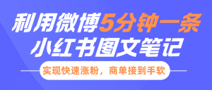 小红书利用微博5分钟一条图文笔记,实现快速涨粉,商单接到手软-湘创网