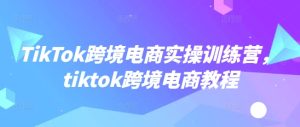 TikTok跨境电商实操训练营,tiktok跨境电商教程-湘创网