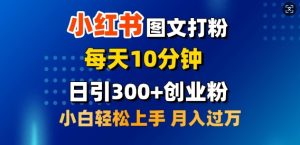 2月小红书图文打粉,每天10分钟,日引300+创业粉,小白轻松月入过W-湘创网