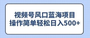 (14276期)视频号风口蓝海项目,操作简单轻松日入500+-湘创网