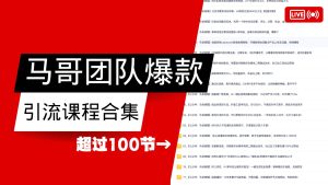 马哥团队【122节】最全项目爆款引流课程合集【持续更新】-湘创网