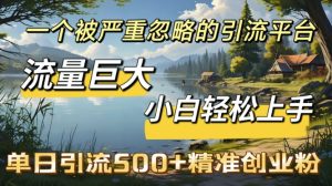 QQ引流创业粉,流量巨大,小白轻松上手,单日引流500-湘创网
