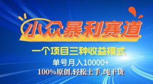 (14300期)【灵狐计划】视频号最新爆火赛道,三种收益模式,0粉新号条条热门原创...-湘创网