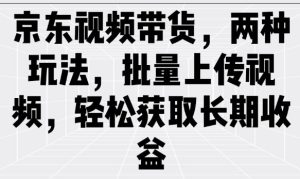 京东视频带货,两种玩法,批量上传视频,轻松获取长期收益-湘创网