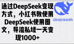 (14179期)通过DeepSeek变现方式,小红书教使用DeepSeek图文,导流私域一天变现1000+-湘创网