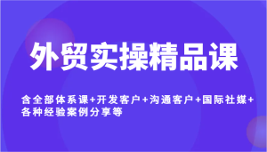 外贸实操精品课,含全部体系课+开发客户+沟通客户+国际社媒+各种经验案例分享等-湘创网