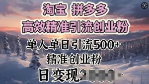 淘宝拼多多高效精准引流创业粉,单人单日引流500+创业粉,日变现多张-湘创网