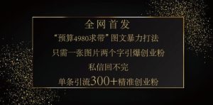 小红书神奇图片引流法,只需一张图,就能单条笔记凭借此方法,轻松引流 300 + 精准创业粉-湘创网
