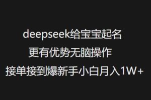deepseek给宝宝起名更有优势无脑操作接单接到爆新手小白月入1W+-湘创网