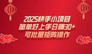 2025快手小项目，简单好上手日入30+，可批量矩阵操作-湘创网