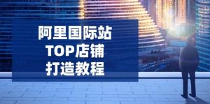 阿里国际站TOP店铺打造教程:涵盖平台到高阶,解决运营难题,提升询盘-湘创网