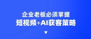 企业短视频AI获客霸屏流量课,6步短视频+AI突围法,3大霸屏抢客策略-湘创网