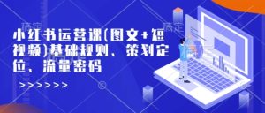小红书运营课(图文+短视频)基础规则、策划定位、流量密码-湘创网