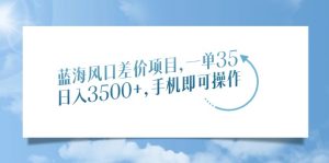(14059期)蓝海风口差价项目,一单35,日入3500+,手机即可操作-湘创网