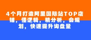 4个月打造阿里国际站TOP店铺,懂逻辑,精分析,会规划,快速提升询盘量-湘创网