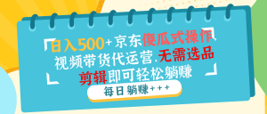 (14123期)日入500+京东傻瓜式操作,视频带货代运营,无需选品剪辑即可轻松躺赚-湘创网