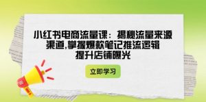 (14318期)小红书电商流量课:揭秘流量来源渠道,掌握爆款笔记推流逻辑,提升店铺曝光-湘创网