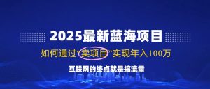 (14305期)2025最新蓝海项目,零门槛轻松复制,月入10万+,新手也能操作!-湘创网