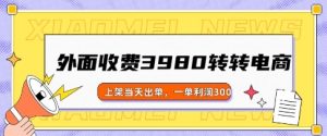 外面收费3980的转转电商玩法,上架当天出单,一单利润3张-湘创网
