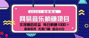 (14185期)2025最新网易云躺赚项目 每天几分钟 轻松3万+-湘创网