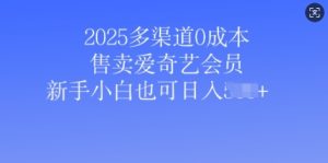2025多渠道0成本售卖爱奇艺会员,新手小白也可日入多张-湘创网