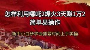 (14245期)怎样利用哪吒2爆火3天赚1万2简单易操作新手小白秒学会抓紧时间上手实操-湘创网