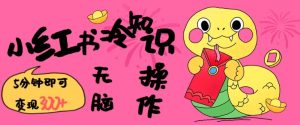 小红书冷知识账号,无脑复制粘贴,5分钟即可变现3张-湘创网